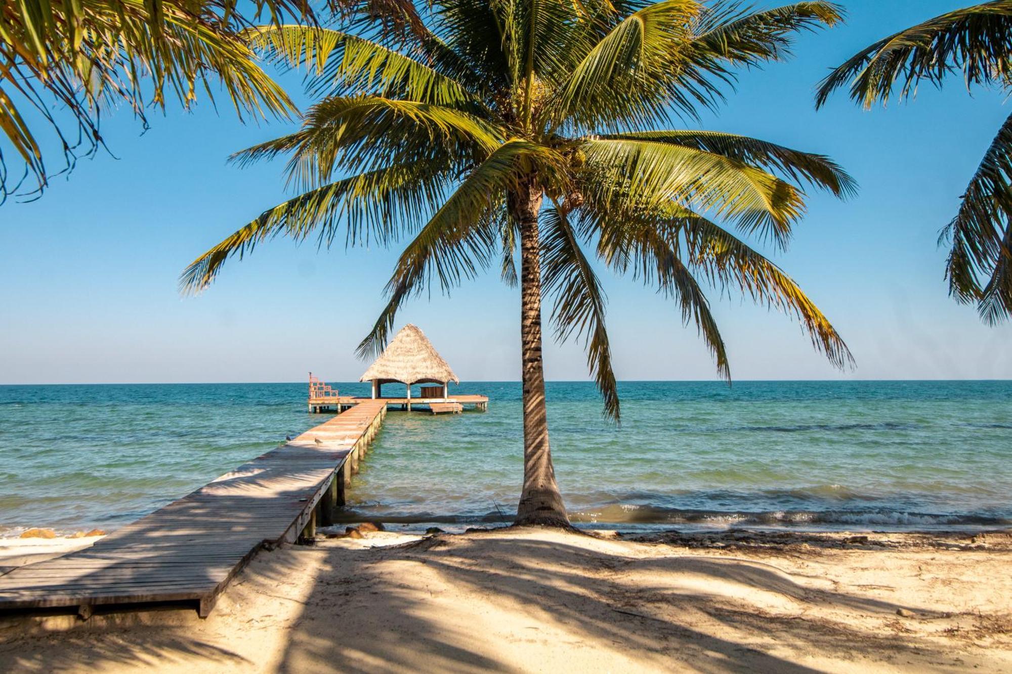 Beachside Villas Gold Standard Certified Placencia Стая снимка