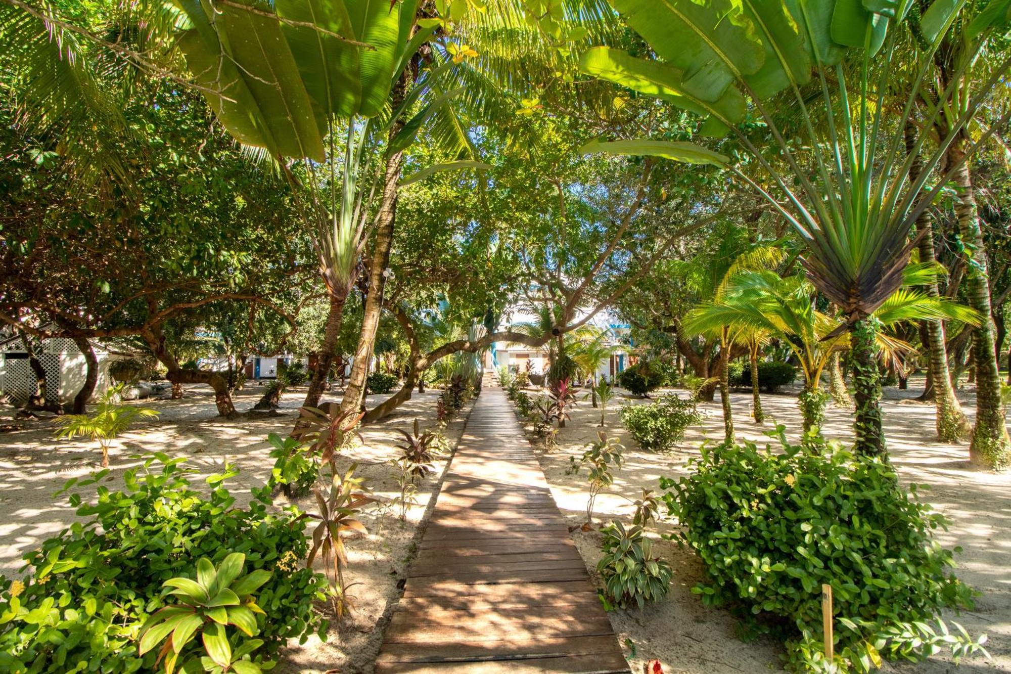 Beachside Villas Gold Standard Certified Placencia Стая снимка