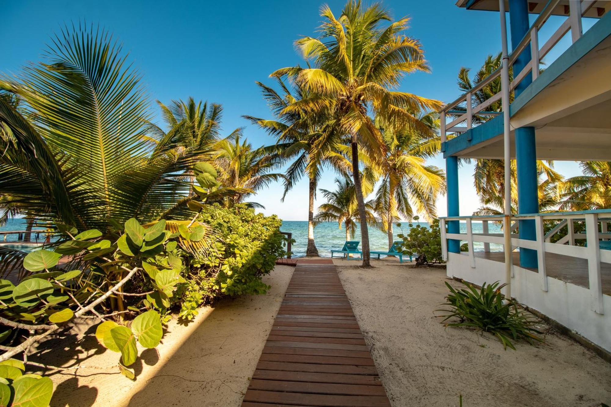 Beachside Villas Gold Standard Certified Placencia Стая снимка