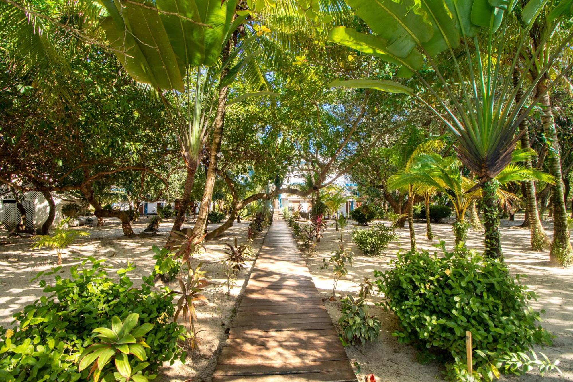 Beachside Villas Gold Standard Certified Placencia Стая снимка